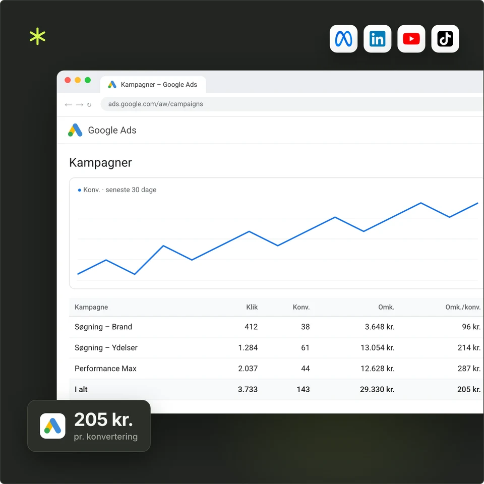 Google Ads med kampagner og 205 kr. pr. konvertering, samt Meta, LinkedIn, YouTube og TikTok.