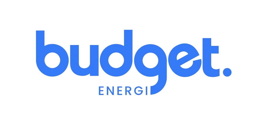 Budget Energi