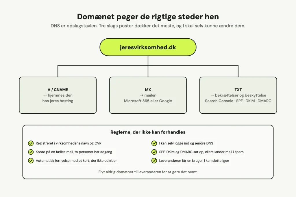 Domænet øverst med tre pile til A/CNAME, der peger på hjemmesiden, MX, der peger på mailen, og TXT til bekræftelser og beskyttelse. Nederst seks regler: i jeres navn, fælles mail, automatisk fornyelse, adgang til DNS, SPF/DKIM/DMARC, og leverandøren får en bruger, I kan slette.