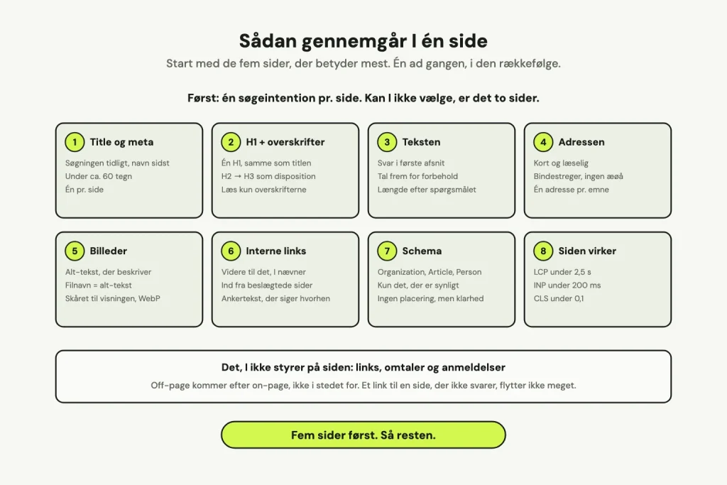 Otte felter med gennemgangen af én side: title og meta, H1 og overskrifter, teksten, adressen, billeder, interne links, schema og at siden virker, hver med tre korte råd. Nederst en note om, at links, omtaler og anmeldelser er det, man ikke styrer på siden.