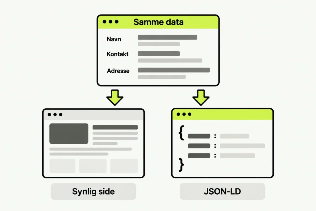 Et fælles datagrundlag med navn og kontaktoplysninger leverer samme information til både den synlige side og JSON-LD.